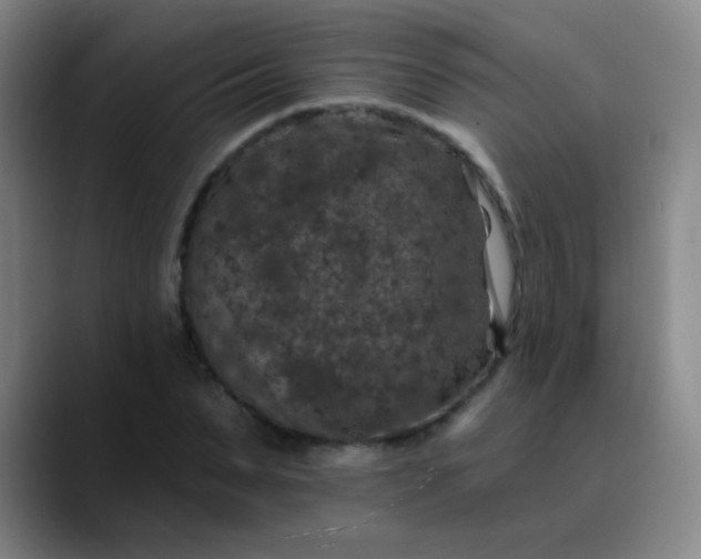 X0000089880879200707121810