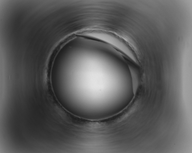 X0000089880880200707121810