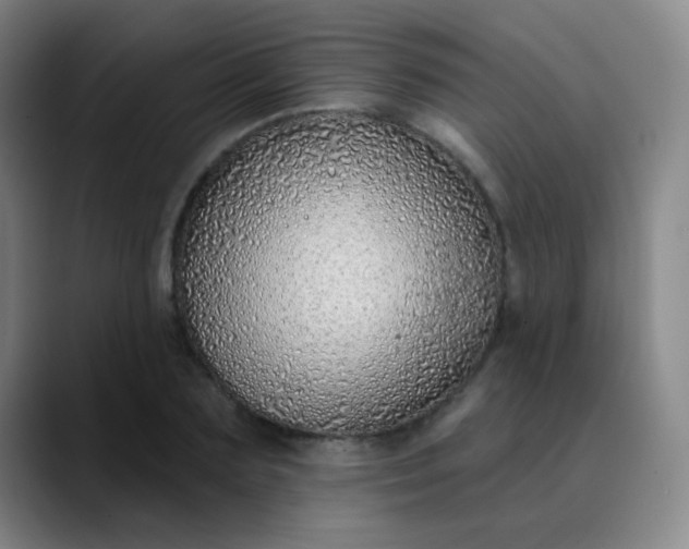 X0000089880883200707121810