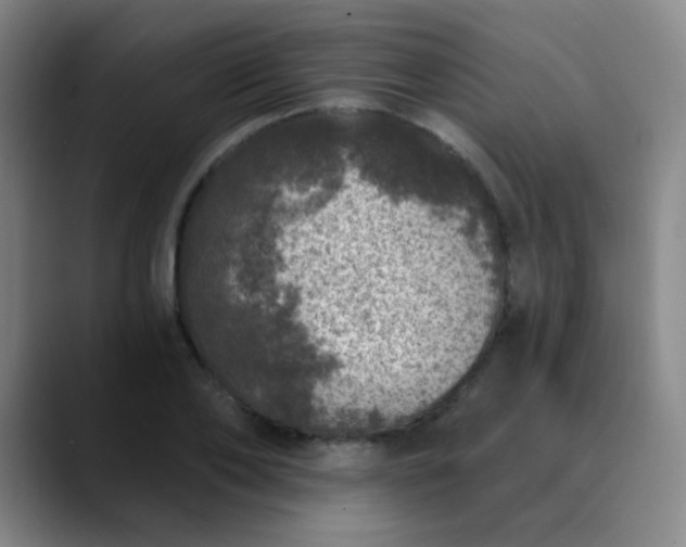 X0000089880886200707121810