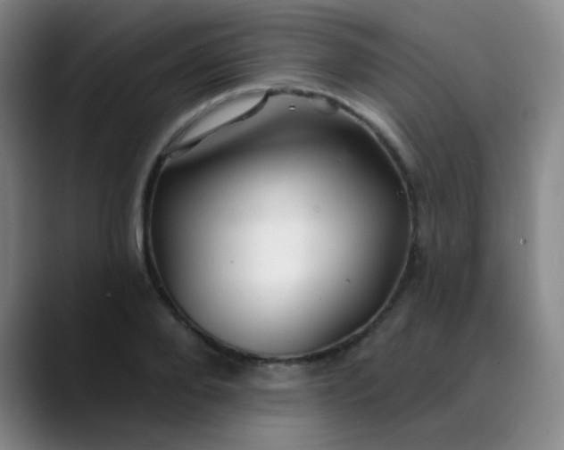 X0000089880888200707121810