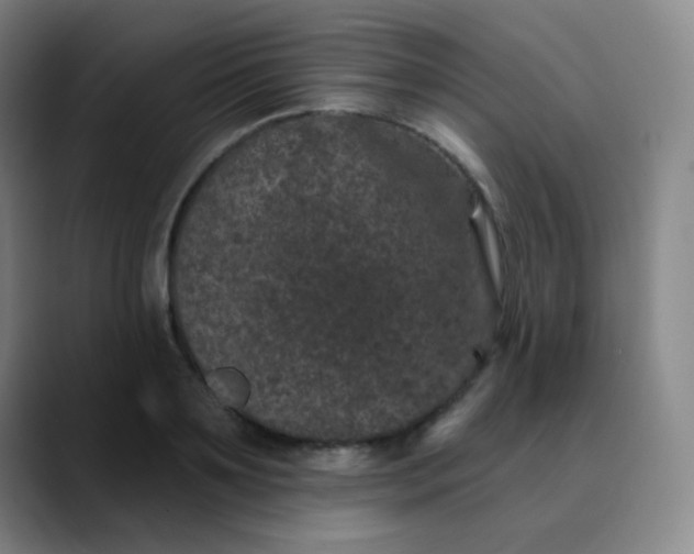 X0000089880891200707121810