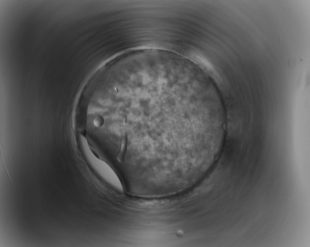 X0000089880892200707121810