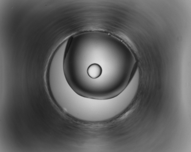 X0000089880893200707121810