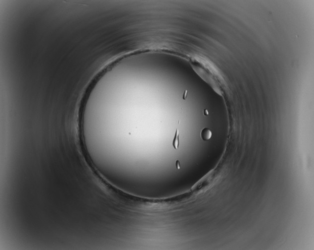 X0000089880894200707121810