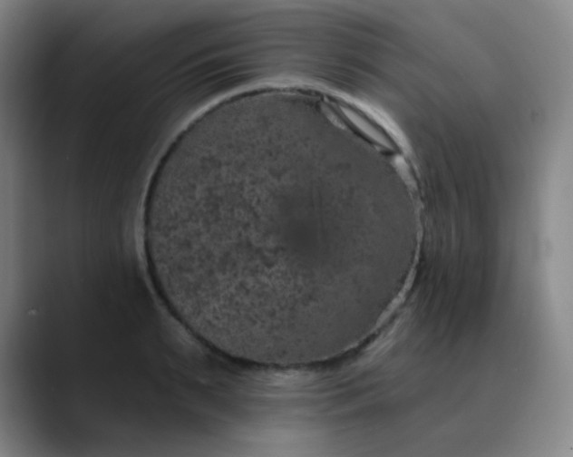 X0000089880895200707121810