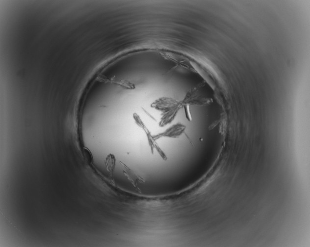 X0000089880896200707121810