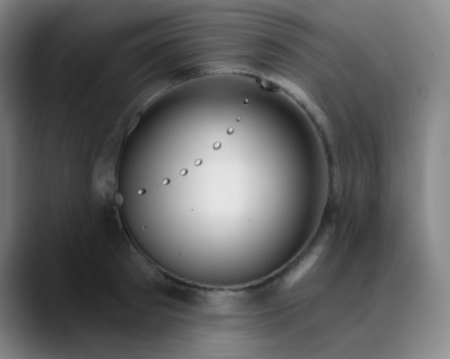 X0000089880897200707121810