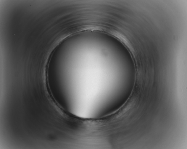 X0000089880898200707121810