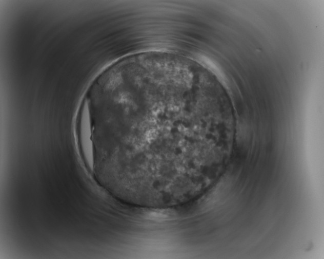 X0000089880899200707121810