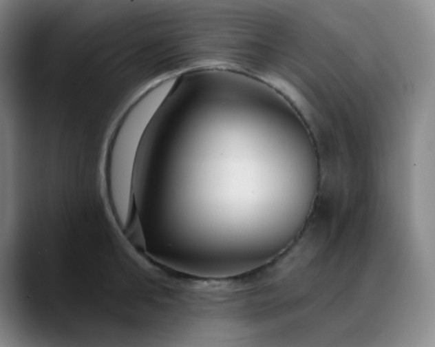 X0000089880902200707121810