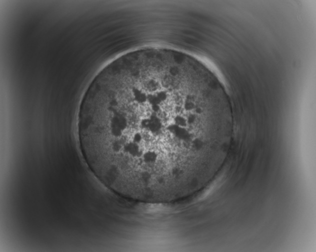 X0000089880903200707121810