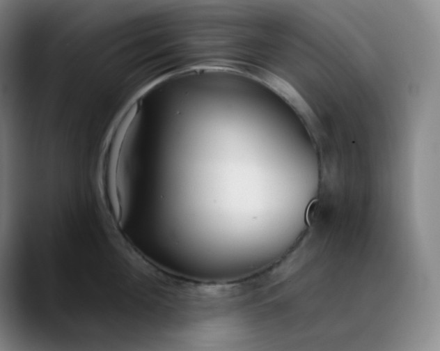 X0000089880908200707121810