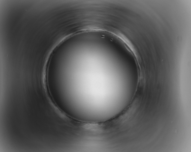 X0000089880909200707121810