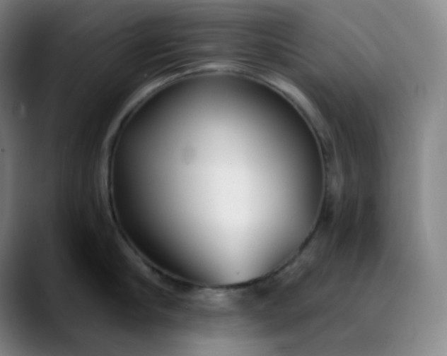 X0000089880910200707121810