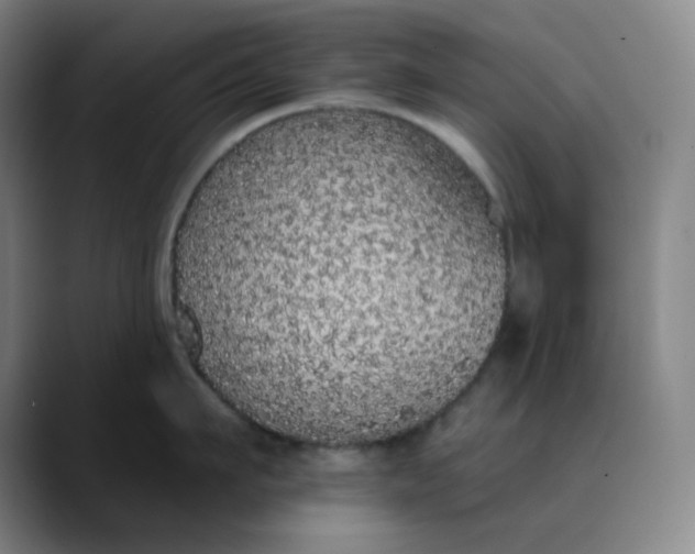 X0000089880911200707121810