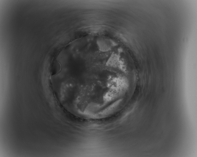 X0000089880913200707121809