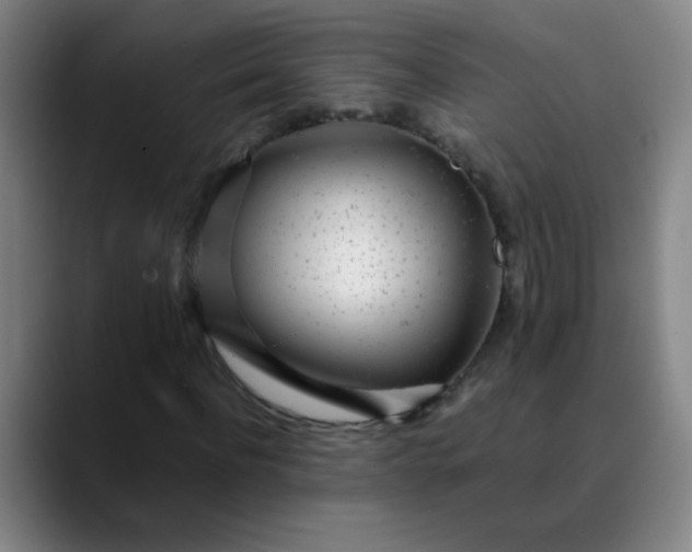 X0000089880916200707121809