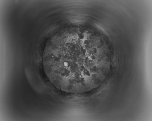 X0000089880917200707121809