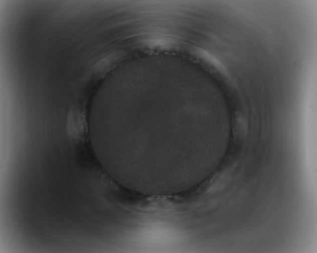 X0000089880918200707121809