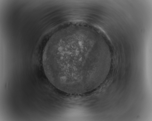 X0000089880919200707121809