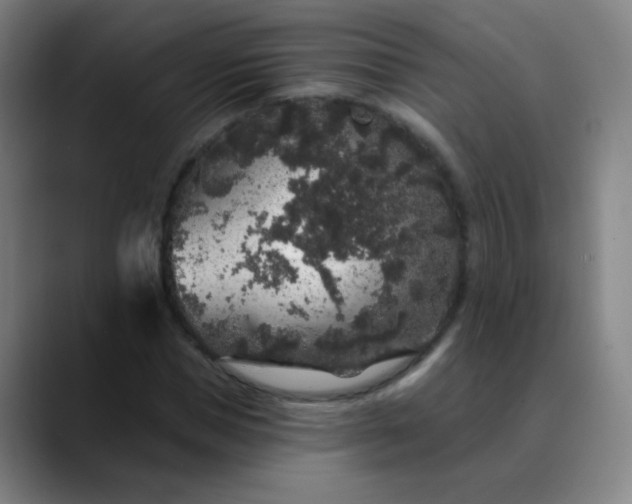 X0000089880921200707121810