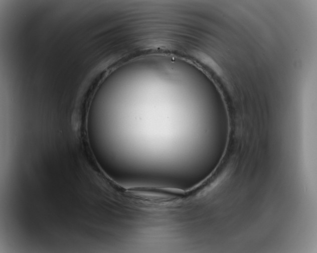 X0000089880922200707121810