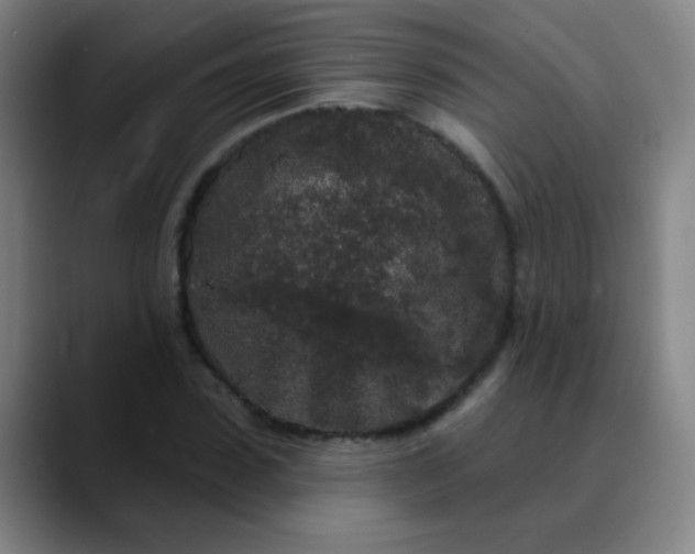 X0000089880923200707121810