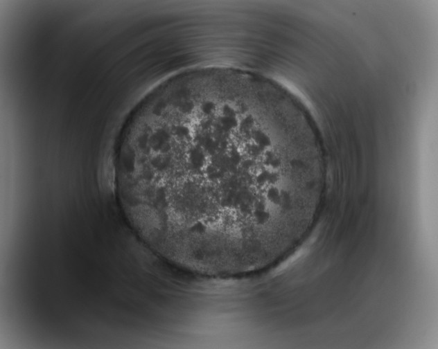 X0000089880925200707121810