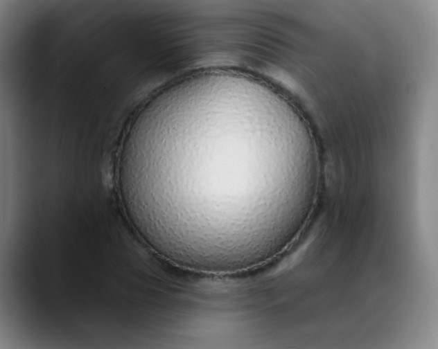 X0000089880929200707121810