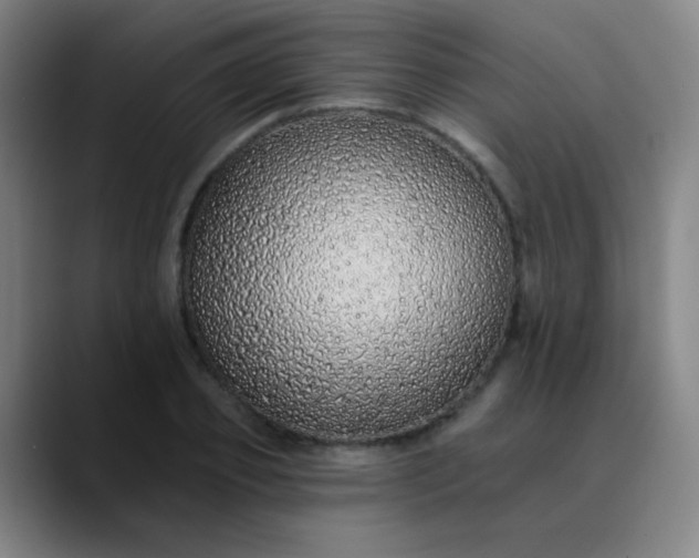 X0000089880933200707121810