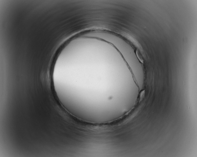 X0000089880936200707121810