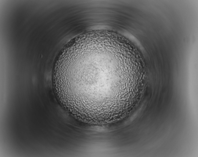 X0000089880937200707121810