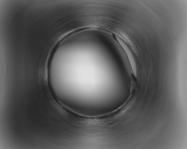 X0000089880940200707121810