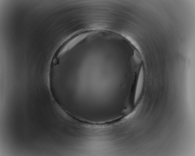 X0000089880941200707121810