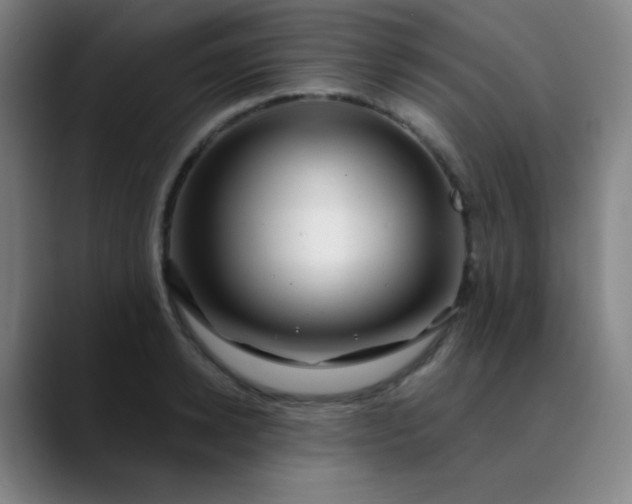 X0000089880942200707121810