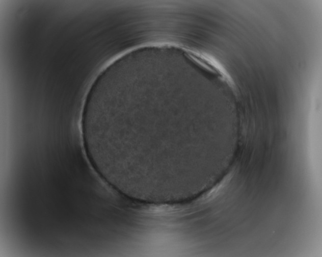 X0000089880943200707121810