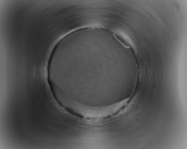 X0000089880944200707121810