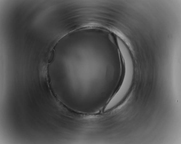 X0000089880945200707121810