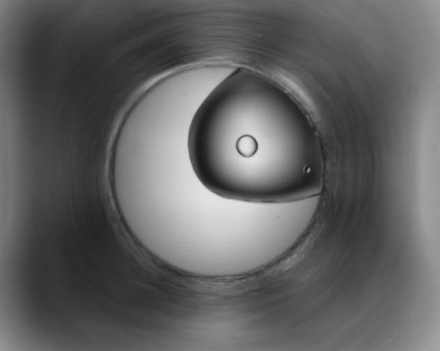 X0000089880948200707121810