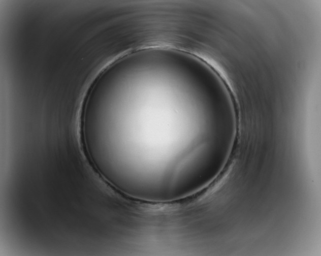 X0000089880949200707121810