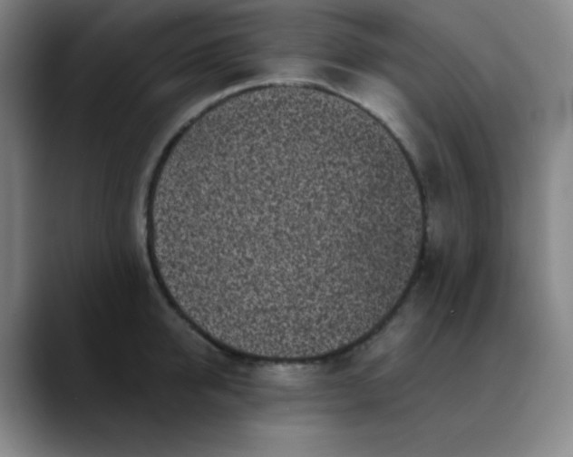 X0000089880950200707121810