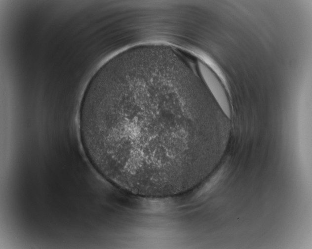 X0000089880951200707121810