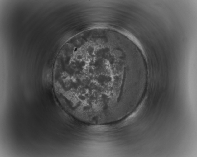 X0000089880953200707121810