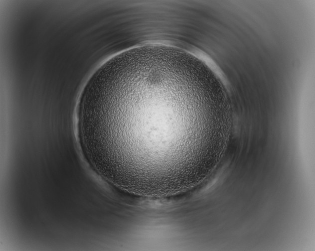 X0000089880955200707121810