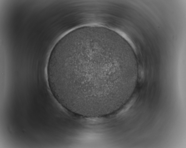 X0000089880959200707121810