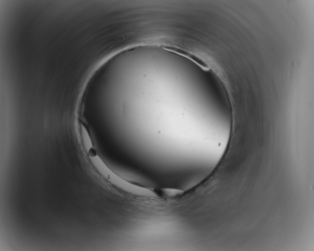 X0000089880960200707121810