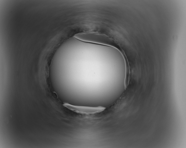 X0000089880961200707121809