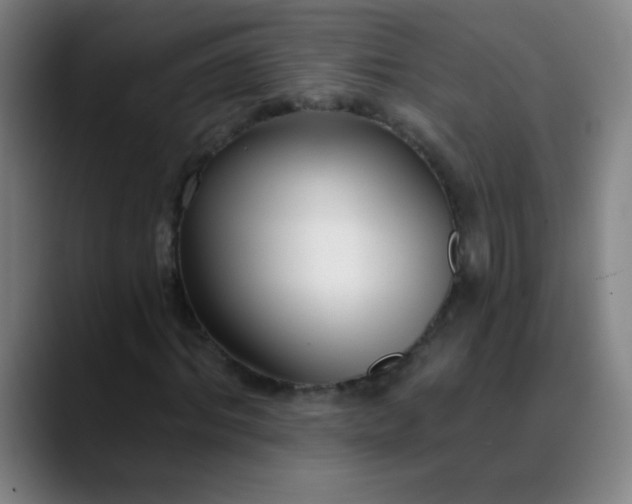 X0000089880964200707121809