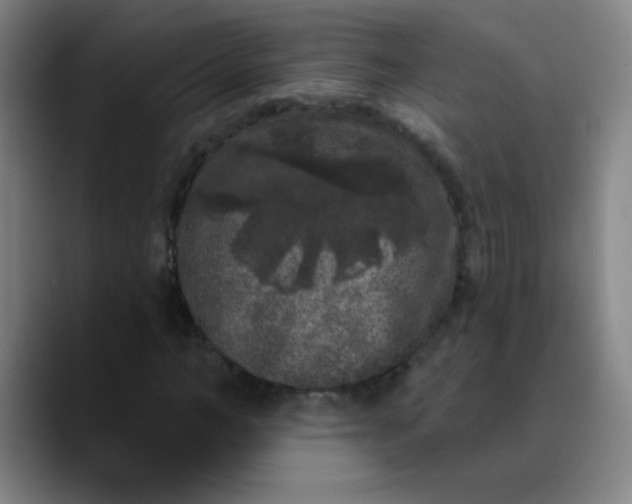 X0000089880966200707121809